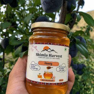 Honey